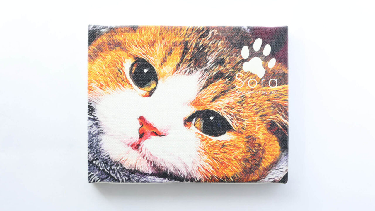 Pet Art Canvasの仕上がりイメージ